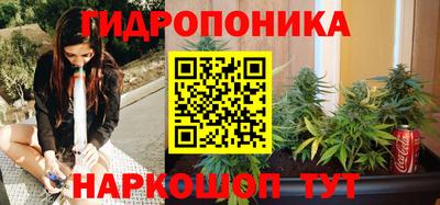 бошки Дубна