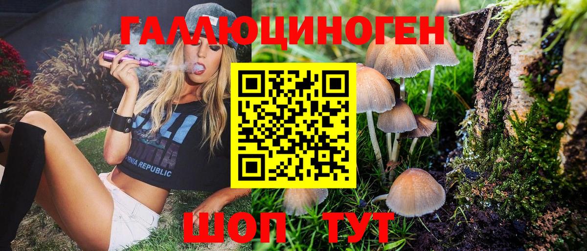 Галлюциногенные грибы Psilocybe Лосино-Петровский