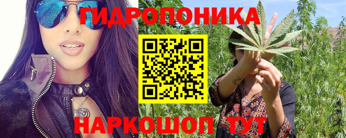 Каннабис гибрид Лосино-Петровский